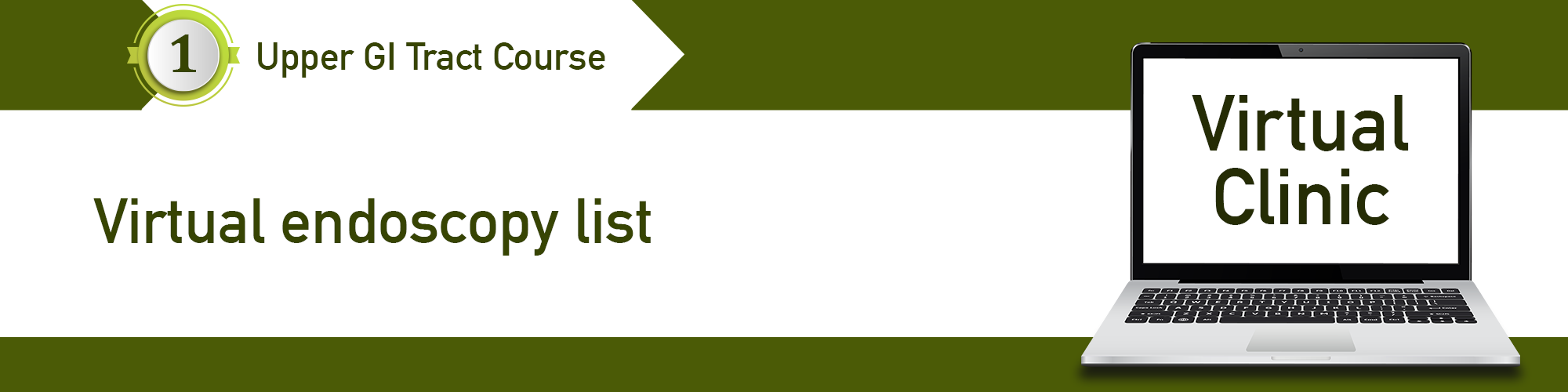 Virtual Clinic Virtual endoscopy list PCSG